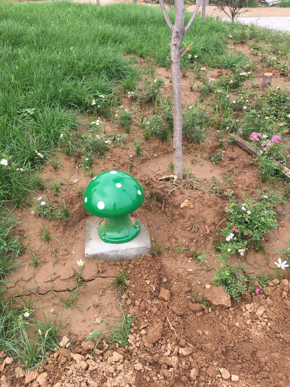 开云kaiyun电竞·(中国区)官方网站